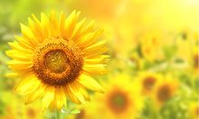 艾格多：助力員工成長，賦能企業未來