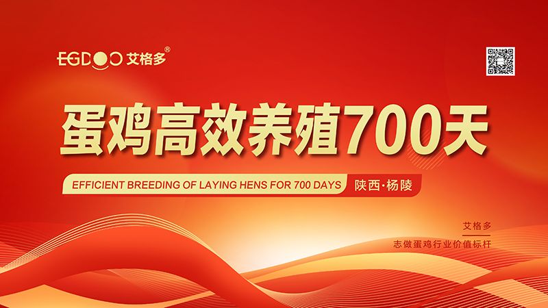 “艾格多蛋雞高 效養殖700天-楊陵站”圓 滿落幕