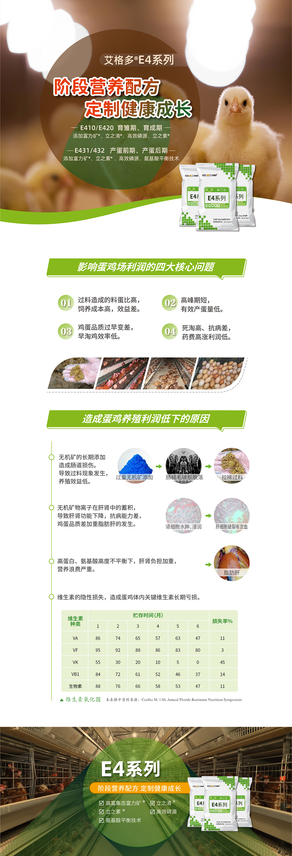 E4系列_產(chǎn)品詳情頁(yè)_畫(huà)板 1